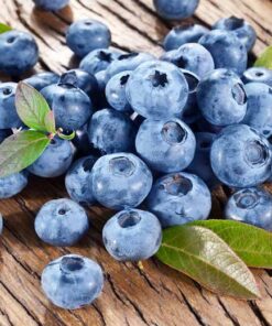 Alternative view of Aukštoji šilauogė 'Bluecrop‘  / Vaccinium corymbosum 'Bluecrop‘